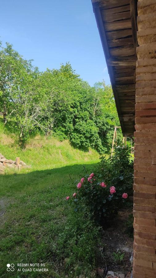 Ferme Du Bois Du Pouget Βίλα La Salvetat-Belmontet Εξωτερικό φωτογραφία